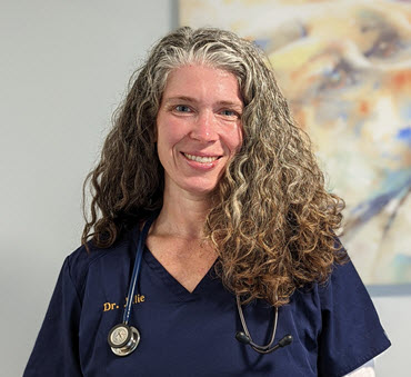 Julie Wentzel,  DVM,  CVA(IVAS),  CCRT,  CVPP