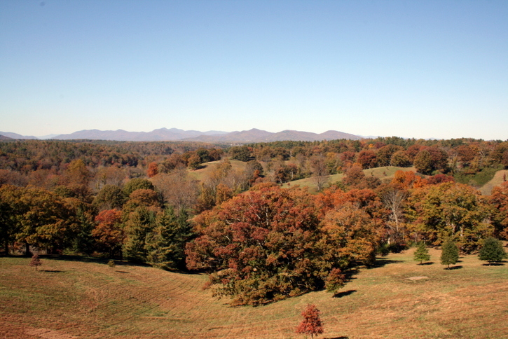 Fall Foliage