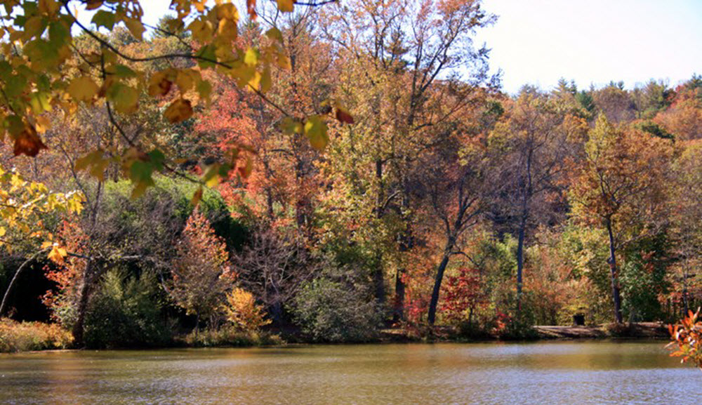 Fall Foliage at Ralph Lees Great Smokies