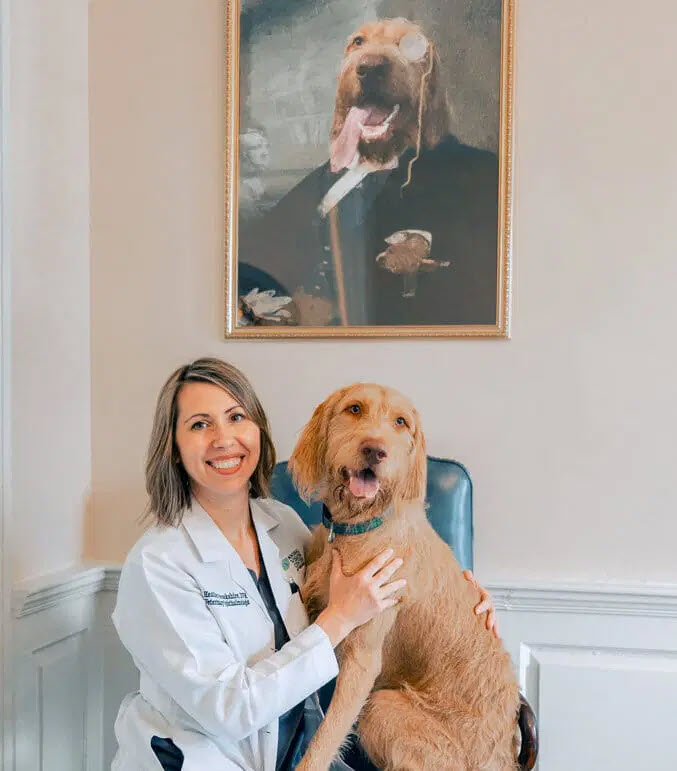 Heather Brookshire, DVM, DACVO, Owner, Animal Vision Center of Virginia